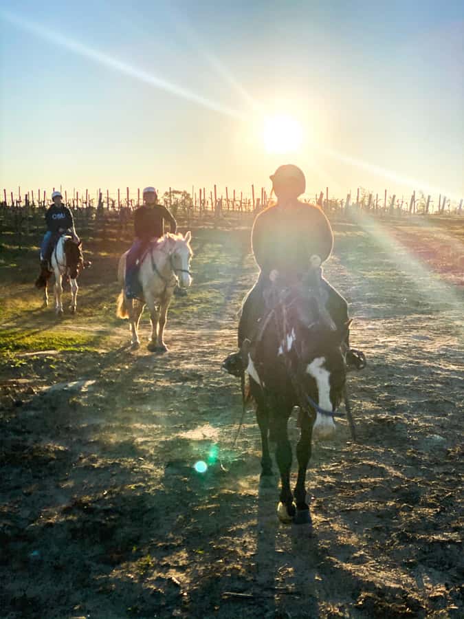 Hunter Valley: Sunset Horse Riding Tour 90min - The Broken Back Range sunset: when the view finally steals the show