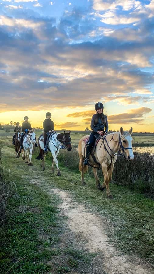 Hunter Valley: Sunset Horse Riding Tour 90min - Pokolbin vibes without the full sightseeing day