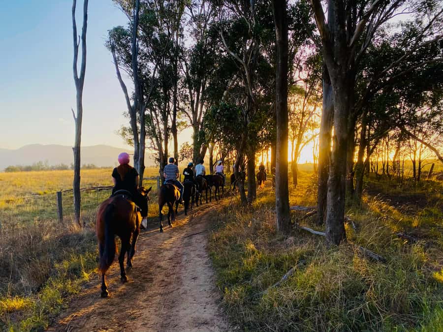 Hunter Valley: Sunset Horse Riding Tour 90min - Where you check in at Hunter Valley Resort (and how to not waste time)
