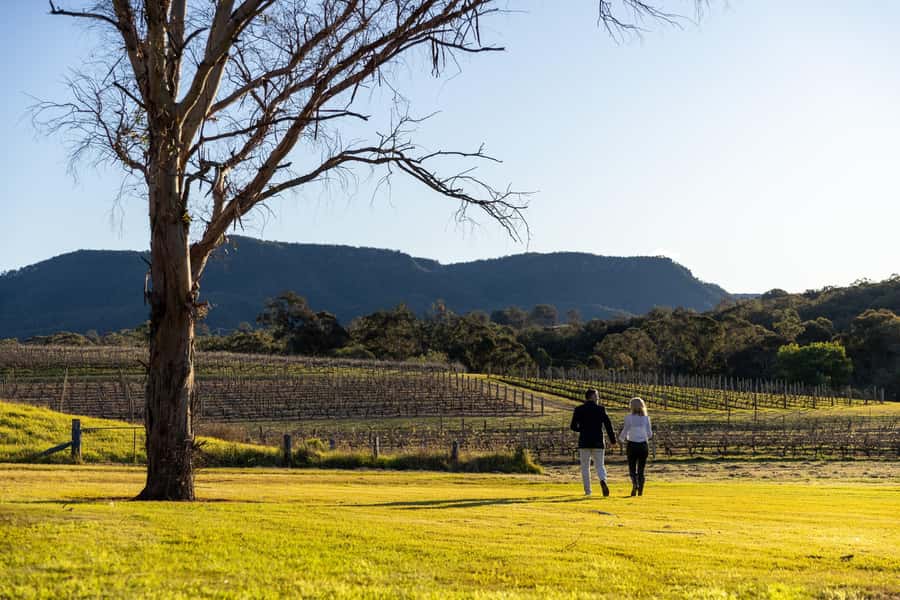 Hunter Valley: Wine and Cheese Tasting - Who should book this tasting, and who might want a different option