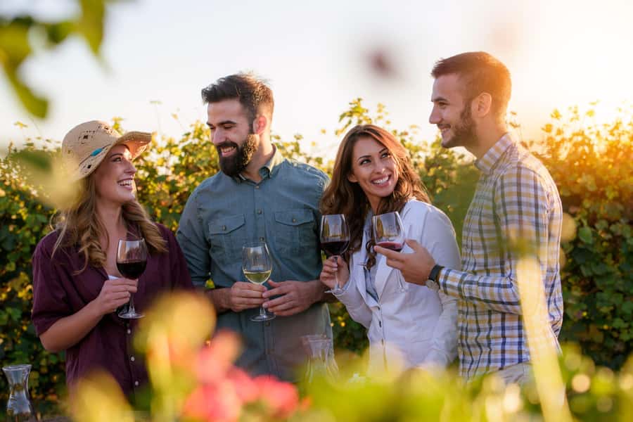Hunter Valley: Wine, Chocolate and Lunch All Inclusive Tour - Key Things I’d Bet On Before You Go