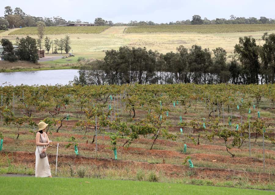 Hunter Valley: Wine, Chocolate and Lunch All Inclusive Tour - Hunter Valley Gardens: More Than a Quick Photo Stop