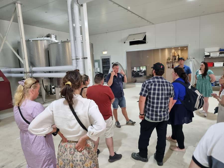 Hunter Valley: Wine, Gin, Cheese and Chocolate Tour - Vineyard orientation and a proper first wine tasting