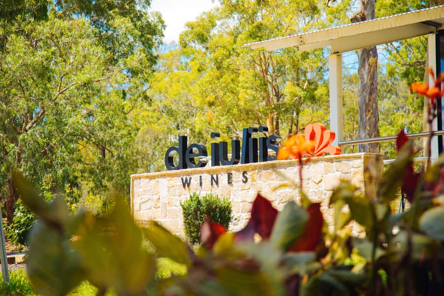 Hunter Valley: Wine, Spirits, and Cheese Tour with Lunch - Lunch with a Drink Included, Plus Time to Relax