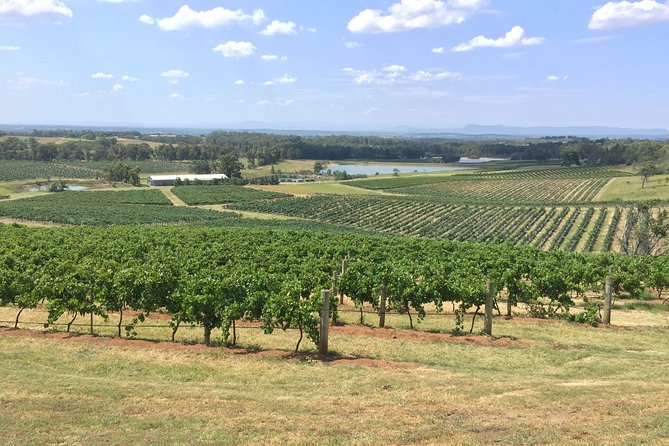 Hunter Valley Wine Tasting Private Tour From Sydney - Iron Gate Estate: A Glam Cellar Door Stop with Staff Who Can Explain the Wines