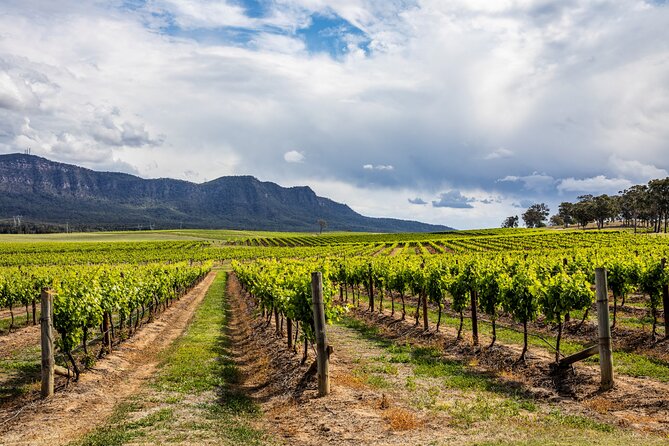 Hunter Valley Wine Tasting Tour from Sydney - Key things I’d zero in on before you book