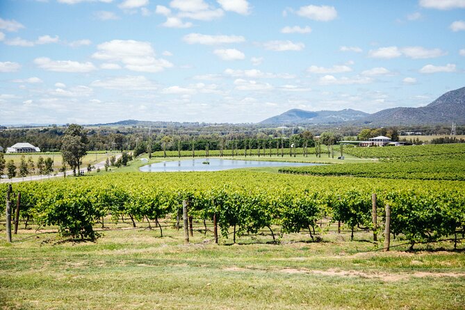 Hunter Valley Wine Tasting Tour from Sydney - Stop 1: Iron Gate Estate and the Hunter White Line-Up