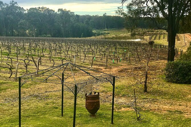 Hunter Valley Wine Tour from Sydney: 3 Wineries & Vineyard Picnic - Chocolate and De Bortoli: gifts, sweetness, and a family story