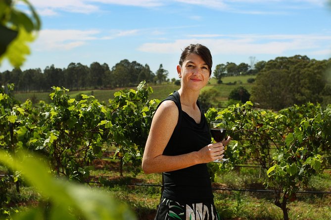 Hunter Valley Wine Tour from Sydney with Lunch and 3 Cellar Door Tastings - Who this Hunter Valley tour suits best (and who should be careful)