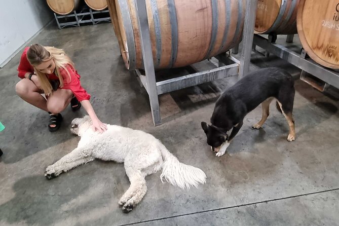 Hunter Valley Wine Tour + Lunch, Gin, Cheese, Choc from Newcastle - Price and value: is $161.38 per person fair for this setup?