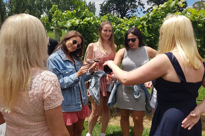 Hunter Valley Wine Tour + Lunch, Gin, Cheese, Choc from Newcastle - Ampol Cameron Park pickup, minivan comfort, and meeting like a local