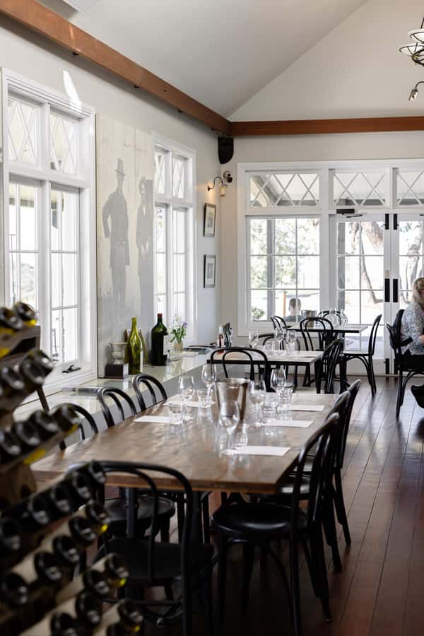Hunter Valley: Wine Tour with 2-Course Lunch, Choc & Cheese - Binnorie Dairy Cheese Tasting, A Proper Finish To The Day