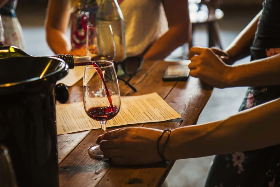 Hunter Valley: Wine Tour with 3 Tastings and Garden Lunch - Comfort, group size, and the driver-guide effect