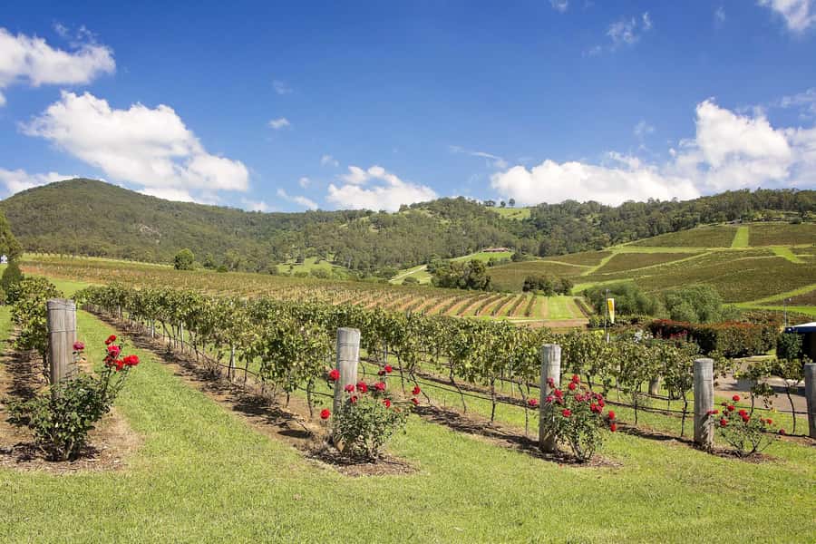 Hunter Valley: Wine Tour with 3 Tastings and Garden Lunch - Price and value: is $166 fair for this Hunter Valley day?