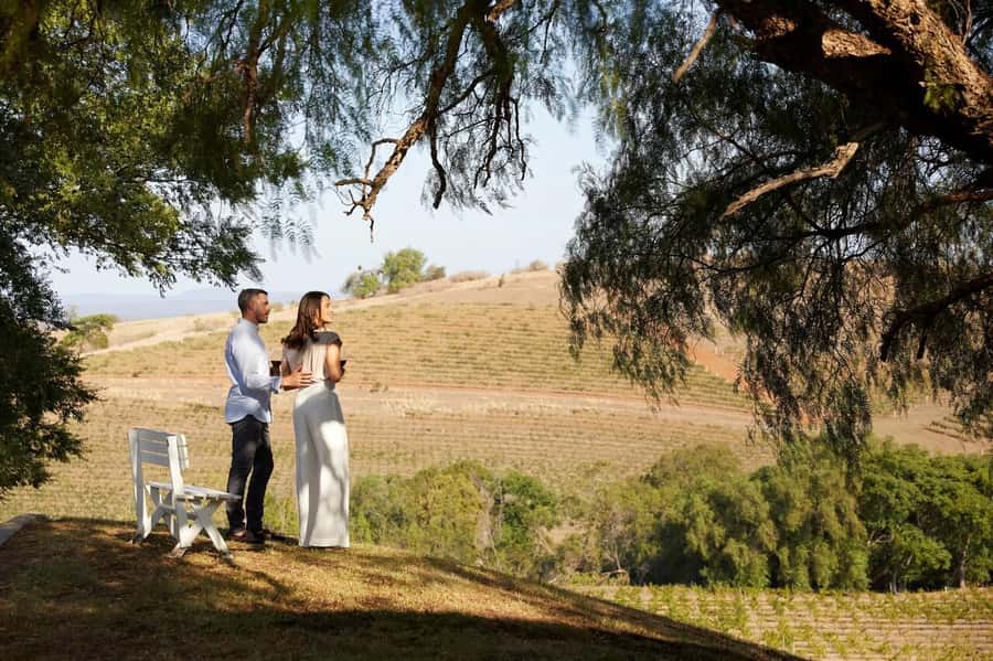 Hunter Valley: Wine Tour with 3 Tastings and Garden Lunch - Who this tour suits best in Hunter Valley