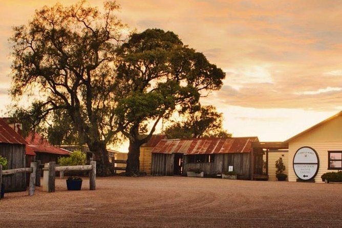 Hunter Valley Wine Tours | Wine Tasting Tours from Sydney - Cheese and chocolates in Pokolbin Village: the food breaks that make it feel local
