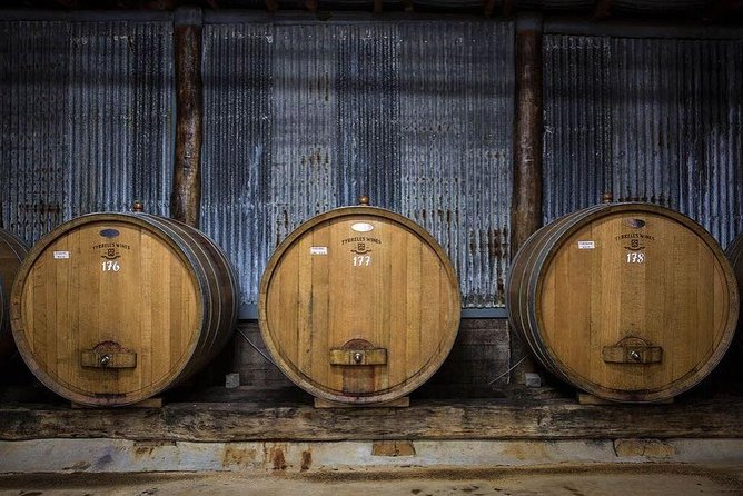 Hunter Valley Wine Tours | Wine Tasting Tours from Sydney - Pickup, seating, and comfort: what to plan for before you book