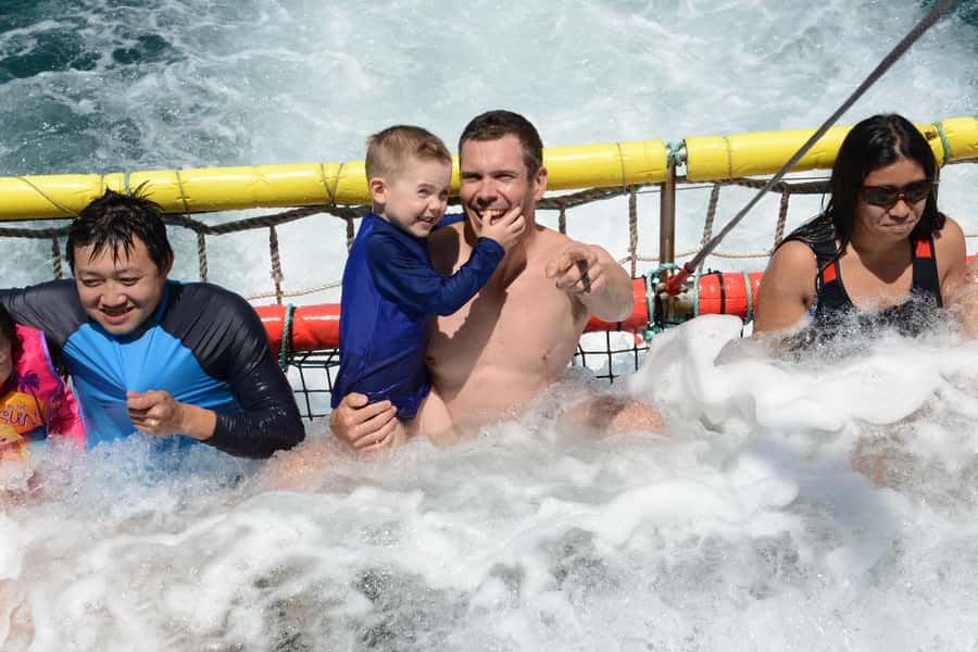 Huskisson: Dolphin Cruise & Boom Netting Experience - Key Takeaways Before You Go