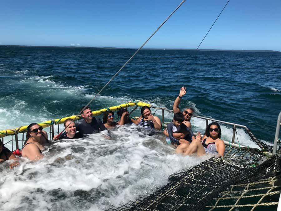 Huskisson: Dolphin Cruise & Boom Netting Experience - What the Crew Does Well, and Why It Matters on the Water