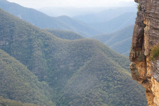 Inside the Greater Blue Mountains World Heritage - A Private Wildlife Safari Overnight - Pulpit Rock and Blackheath, a break from the heavy crowds