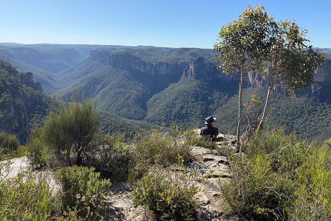 Intimate Blue Mountains Wild Kangaroos & Sunset for Nature Lovers - Sublime Point and Wentworth Falls: rim views and the drop to Jamison Valley