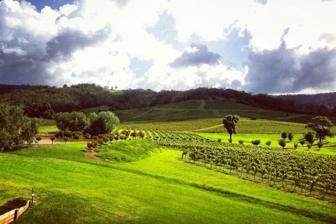 Ivanhoe Wines: Trip Advisor Premium Wine Tasting - Timing tips: how to avoid the two common problems