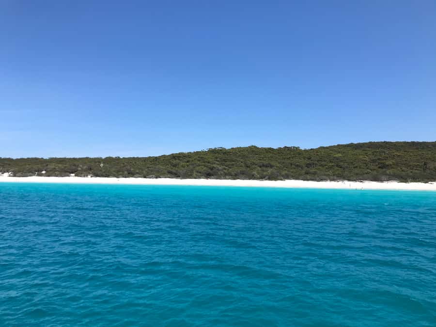 Jervis Bay: 2-Hour Cruise of Jervis Bay Passage - Comfort on Board, Jackets, and What to Do About Seasickness