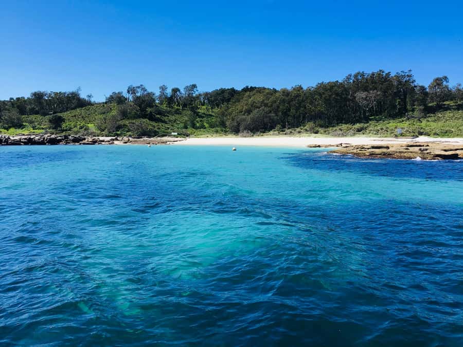 Jervis Bay: 2-Hour Cruise of Jervis Bay Passage - Price and Value: Is $63 Worth It?