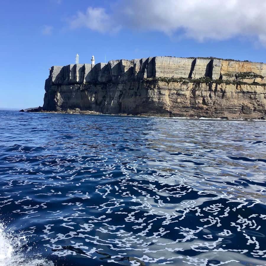 Jervis Bay: 2-Hour Cruise of Jervis Bay Passage - Who Should Book This Cruise (and Who Should Skip It)