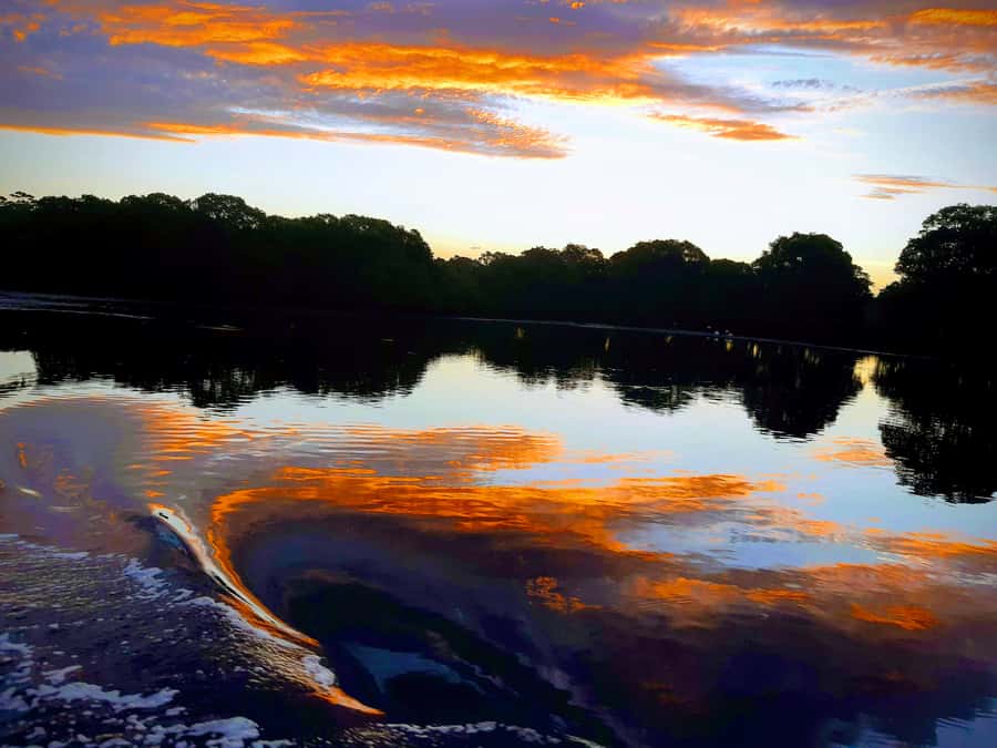 Jervis Bay: 2-Hour Sunset River Cruise - Why a 2-hour Jervis Bay sunset cruise feels like the right kind of plan