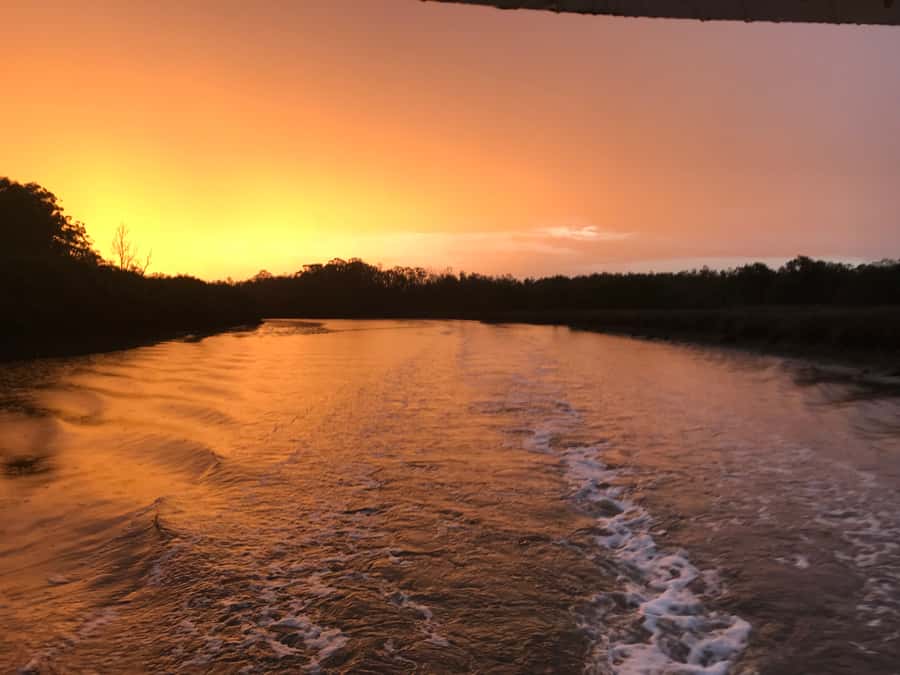 Jervis Bay: 2-Hour Sunset River Cruise - Meeting at Huskisson Wharf, then settling in quickly