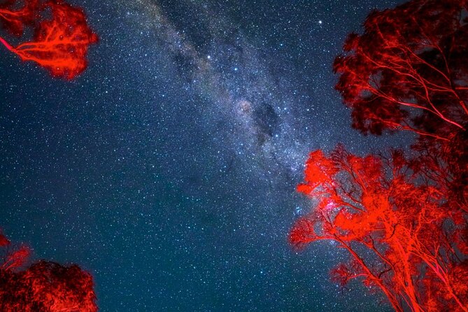 Jervis Bay Beach Stargazing Tour with our Astronomer - What you’ll see: the Southern Sky highlights made simple