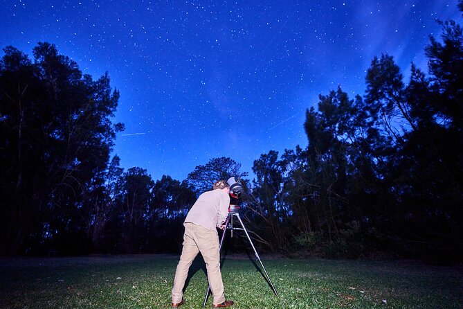 Jervis Bay Beach Stargazing Tour with our Astronomer - The bioluminescence moment in the sea