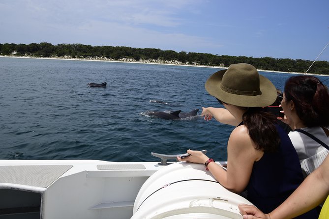 Jervis Bay Dolphin Cruise - Why Jervis Bay Dolphin Cruises Work Better Here