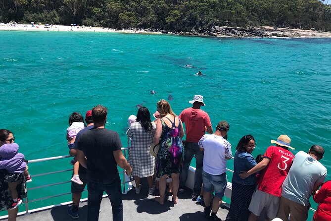 Jervis Bay Dolphin Cruise - What the 1.5-Hour Dolphin Cruise Feels Like On Board