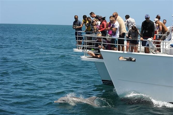 Jervis Bay Dolphin Cruise - Getting to Currambene Street, Huskisson Without Stress