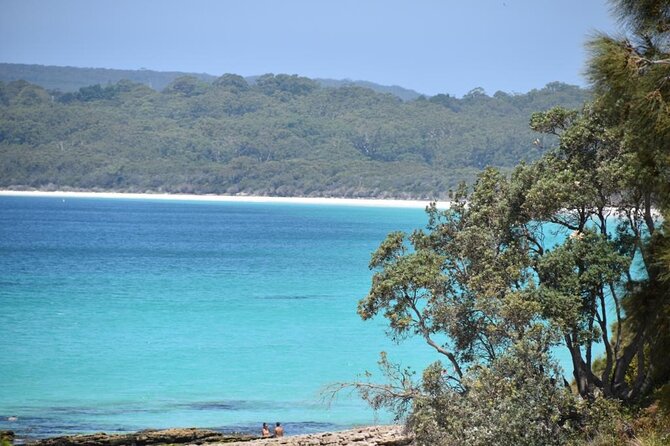 Jervis Bay Tour with Dolphins, Kangaroos & World's Whitest Beach - Hyams Beach and the White Sands Trail walk