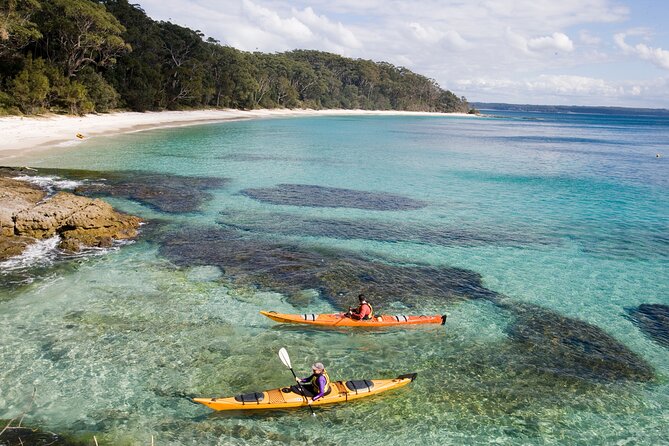 Jervis Bay Whale Watching Tour - Timing, duration, and what two hours feels like