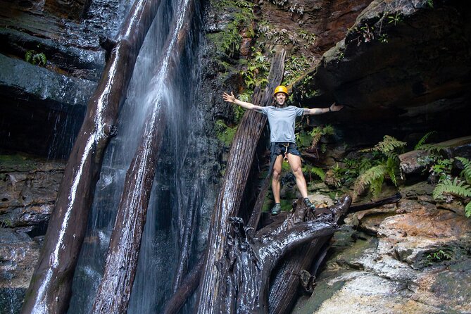 Juggler Canyon and Abseiling Adventure Blue Mountains - Key highlights before you go