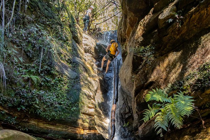 Juggler Canyon and Abseiling Adventure Blue Mountains - Lunch options: what’s included, how to handle allergies, and what to email