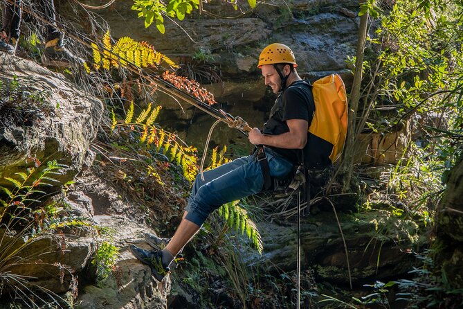 Juggler Canyon and Abseiling Adventure Blue Mountains - Final call: should you book Juggler Canyon and Abseiling in the Blue Mountains?