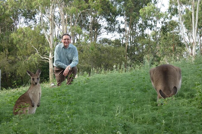 Kangaroo Wildlife Half Day Small Group Tour From Sydney - A half-day that makes sense for Sydney timing