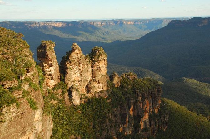 Kangaroo Wildlife Half Day Small Group Tour From Sydney - Why Oliver matters: the guide makes the wildlife part easier