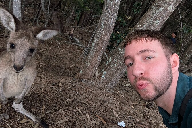 Kangaroo Wildlife Half Day Small Group Tour From Sydney - Price and time value: is $118.07 worth it?