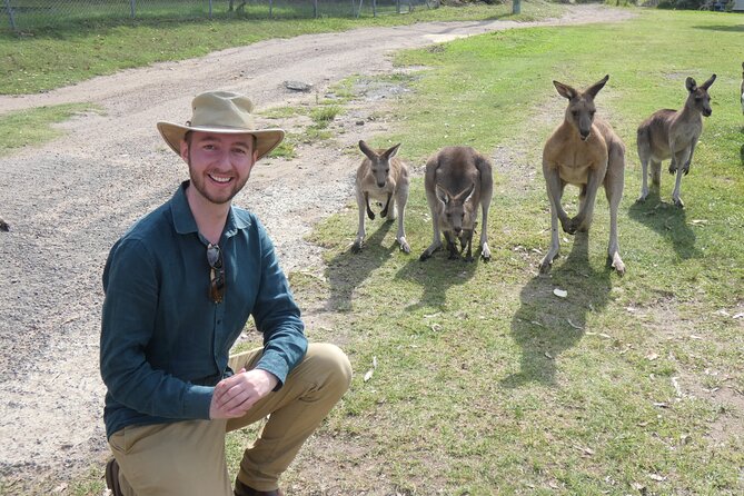 Kangaroo Wildlife Half Day Small Group Tour From Sydney - Brooklyn’s Hawkesbury River feel: short stop, good photos