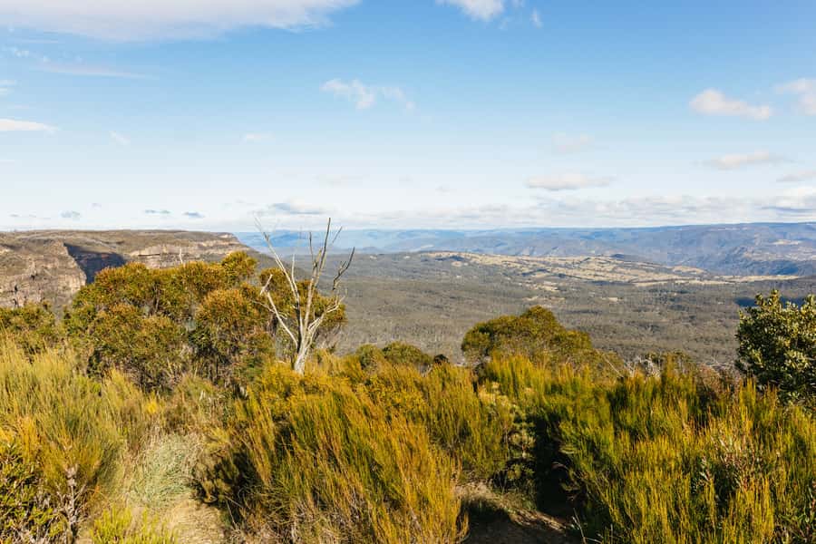 Katoomba: Lyrebird Hop-On Hop-Off and Scenic World Pass - Katoomba in One Day, With a Built-In Plan