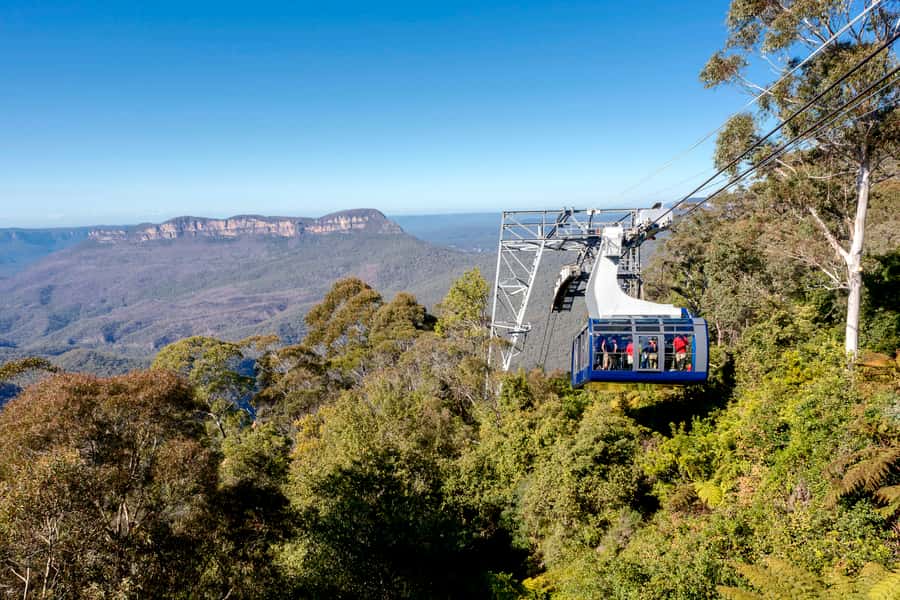 Katoomba: Scenic World 1-Day Unlimited Discovery Pass - Walkway through Jamison Valley rainforest trails