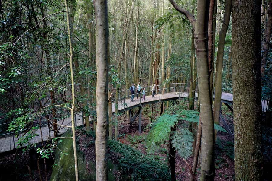 Katoomba: Scenic World 1-Day Unlimited Discovery Pass - Food, facilities, and parking that keep your day moving