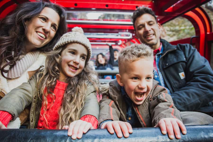 Katoomba: Scenic World 1-Day Unlimited Discovery Pass - Getting value from the Unlimited Discovery Pass at $43