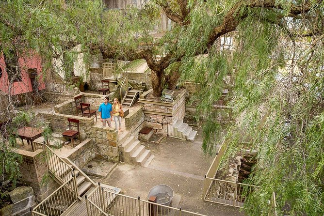 Kickstart Sydney Half-Day Private Tour - Timing, Walking, and Comfort Tips That Keep This Fun